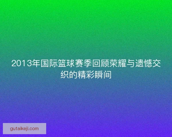 2013年国际篮球赛季回顾荣耀与遗憾交织的精彩瞬间