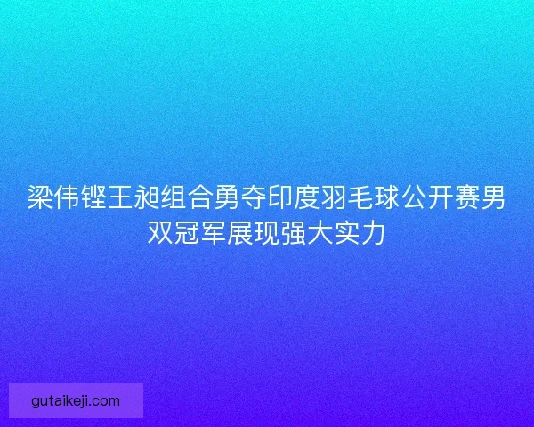 梁伟铿王昶组合勇夺印度羽毛球公开赛男双冠军展现强大实力